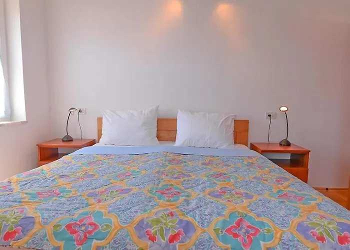 招待所 Complex 36